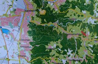 Wohnung mieten in Frohnklingerstr. 22a, 69517 Gorxheimertal, Attraktive und gepflegte 2-Raum-Wohnung mit Einbauküche in Gorxheimertal / Trösel
