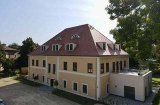 Wohnung mieten in Pfarrstraße, 06118 Halle, Exklusives Wohnen im Baudenkmal – Großzügige Erdgeschosswohnung mit zwei Terrassen!