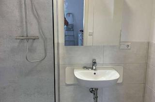 Wohnung mieten in 64823 Groß-Umstadt, Renovierte 1 Zimmer-Wohnung, neues Bad und Einbauküche, in Groß-Umstadt