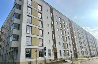 Wohnung mieten in Landsberger Allee 315, 13055 Alt-Hohenschönhausen (Hohenschönhausen), EG 4-Zimmer-Wohnung mit Terrasse in Lichtenberg