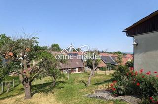 Mehrfamilienhaus kaufen in 98693 Ilmenau, Landanwesen mit Wohnhaus und Nebengelassen - Preis VB, provisionsfrei!