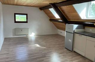 Wohnung mieten in Holzmannweg, 88326 Aulendorf, Exklusive, gepflegte 1-Raum-Dachgeschosswohnung in Steinenbach/Aulendorf