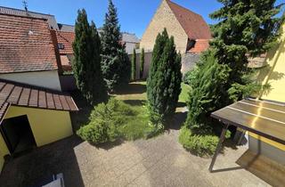 Wohnung mieten in 67227 Flomersheim, Helle Altbauwohnung mit Terasse, Neuer EBK inkl. Geräte, Garten etc.