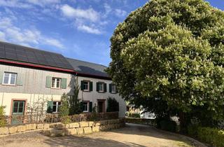 Mehrfamilienhaus kaufen in Graf-Hartard-Straße, 54614 Schönecken, kernsaniertes Mehrfamilienhaus in Schönecken