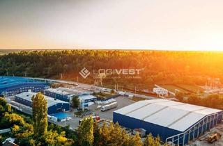 Gewerbeimmobilie mieten in 15366 Hoppegarten, Projektierter Neubau einer Lager- und Logistikhalle an der A10!