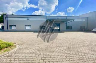 Büro zu mieten in 65551 Limburg, VIELSEITIG NUTZBAR ✓ Lager (300 m²) mit Büro (100 m²) & Freilager (400 m²)