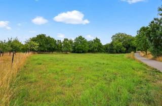 Grundstück zu kaufen in 76297 Stutensee, Provisionsfrei: Pferdekoppel mit 1.600 m² Fläche in Stutensee-Blankenloch