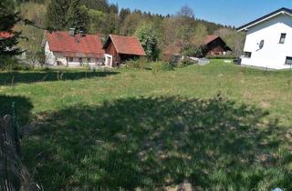 Grundstück zu kaufen in 94568 Sankt Oswald, Herrliches Wohnbaugrundstück mit leichter Hanglage!!!