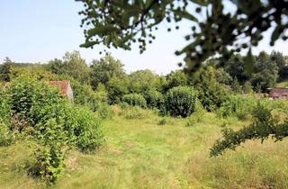Grundstück zu kaufen in 85560 Ebersberg, Traumhafte Aussicht über Ebersberg