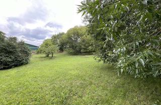 Grundstück zu kaufen in 18209 Steffenshagen, Traumhaftes Grundstück mit Blick zur Kühlung