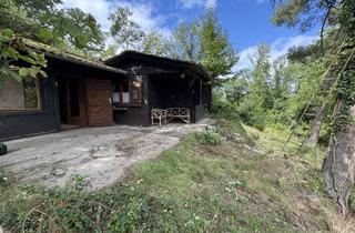 Grundstück zu kaufen in 67098 Bad Dürkheim, Wochenend und Freizeitgelände mit ganz Jähriger Strom und Wasserversorgung