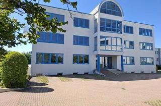 Büro zu mieten in 71083 Herrenberg, Büro in Herrenberg mit 110 qm sucht Nachmieter!
