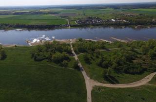 Gewerbeimmobilie kaufen in 39524 Wust, 50.089 m² Wald mit Kiefern und Laubholz in Schönhausen an der Elbe