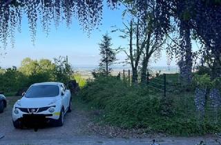 Haus mieten in Vogelsang, 76835 Weyher, Wohnhaus für Ruhesuchende und Naturliebhaber zu vermieten