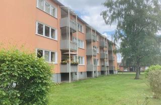 Wohnung mieten in Meisenweg, 29633 Munster, Schöne 1 Zimmer-Wohnung mit Einbauküche und Balkon