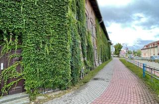 Wohnung mieten in Grimmer Straße 87, 17489 Fettenvorstadt, Wohnen am Botanischen Garten