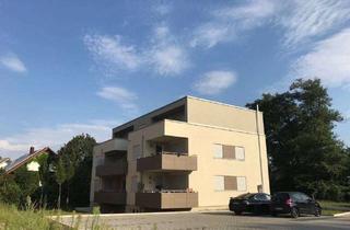 Wohnung mieten in Johann-Georg-Zuflucht-Straße 17, 77694 Kehl, Ideale Single-Wohnung in Kork im kühlen Kellergeschoss
