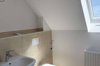 Wohnung mieten in 39435 Wolmirsleben, Helle frisch Sanierte 1,5 Wohnung sucht Nachmieter
