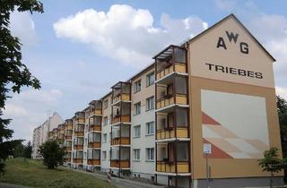 Wohnung mieten in Dr.-Wilhelm-Külz-Straße 24, 07950 Zeulenroda-Triebes, Anschauen! 2-Raum-Wohnung mit Blick ins Grüne