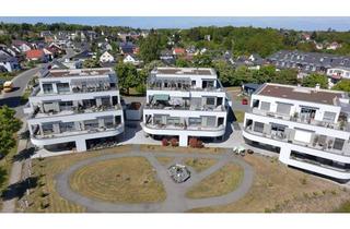 Wohnung mieten in Gneisenaustraße 2c, 08523 Plauen, Wohnung im Grünen mit großer Terasse: schöne 2 Zimmer Wohnung