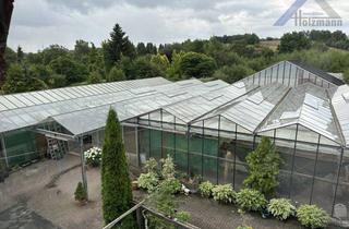 Grundstück zu kaufen in 37441 Bad Sachsa, Grundstücke mit einer Gesamtgröße von ca. 13.764 m² in Bad Sachsa - Holzmann Immobilien