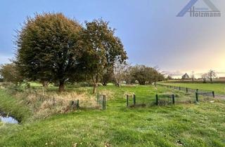 Grundstück zu kaufen in 32469 Petershagen, Freizeitgrundstück in Petershagen-Friedewalde - Holzmann Immobilien