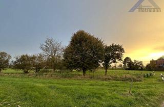 Grundstück zu kaufen in 32469 Petershagen, Freizeitgrundstück in Petershagen-Friedewalde - Holzmann Immobilien