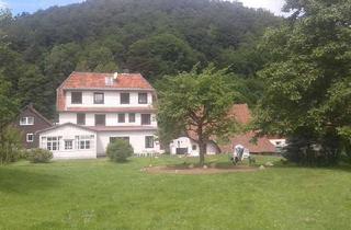 Haus kaufen in Elsbach, 37445 Walkenried, Haus mit Geschichte in Zorge