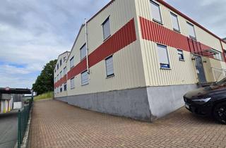 Büro zu mieten in Im Steinböhl, 69518 Abtsteinach, Sehr Gepflegte Gewerbeimmobilie - Zwei Hallen, Büroeinheiten, Betriebsräumen und großer Freifläche !