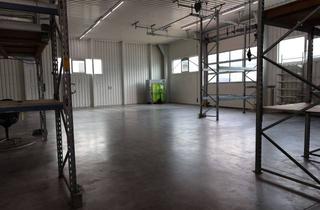 Büro zu mieten in Im Steinböhl, 69518 Abtsteinach, Sehr Gepflegte Gewerbeimmobilie - Zwei Hallen, Büroeinheiten, Betriebsräumen und großer Freifläche !