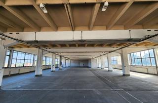 Gewerbeimmobilie mieten in Altchemnitzer Str. 27, 09120 Altchemnitz, Helle und trockene Lagerfläche zur Miete