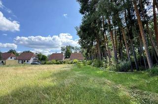 Grundstück zu kaufen in 15754 Heidesee, Großes baureifes Grundstück in Heidesee-Prieros