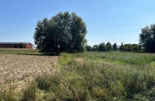 Grundstück zu kaufen in Blankenseer Straße, 17268 Mittenwalde, Ehemals Zwei Immobilien suchen Sie