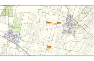 Gewerbeimmobilie mieten in 99706 Sondershausen, Für Landwirte oder Kapitalanleger: Ca. 6,1 ha Ackerland in Nordthüringen