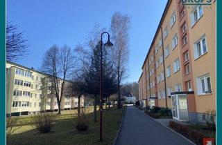 Anlageobjekt in Bruno-Dietze-Ring 50, 01844 Neustadt, Exklusiv sanierte Wohnung in Neustadt zu verkaufen
