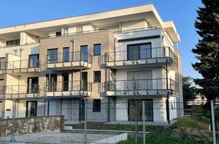 Penthouse mieten in 41515 Grevenbroich, Penthouse-Wohnung mit Süd-West-Terrasse