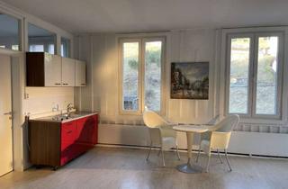 Lofts mieten in Hauptstr 31, 78148 Gütenbach, Attraktives LOFT 2-Raum-Wohnung in Gütenbach Plus HÜTTE