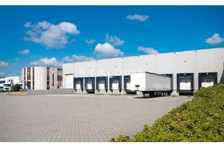 Gewerbeimmobilie mieten in 73265 Dettingen, Logistikflächen mit ausreichend Freifläche zu vermieten!