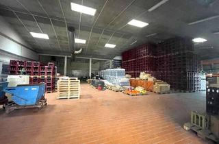 Gewerbeimmobilie mieten in 74246 Eberstadt, Moderne Halle ideal für Sportstätten, Indoorplay, Fitness, etc.