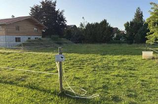 Grundstück zu kaufen in Hopfenfeldstraße 10, 86989 Steingaden, großes Baugrundstück in zentraler Lage