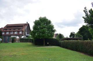 Grundstück zu kaufen in 99817 Neuenhof-Hörschel, Großes Gartengrundstück mit vielen Möglichkeiten zur Freizeitgestaltung