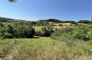 Grundstück zu kaufen in 97990 Weikersheim, Baureifes Grundstück in Niederstetten