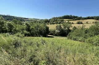 Grundstück zu kaufen in 97990 Weikersheim, Baureifes Grundstück in Niederstetten