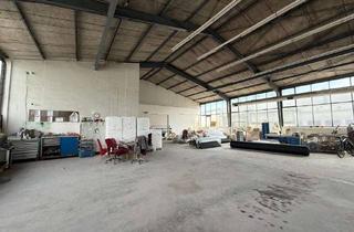 Büro zu mieten in 67227 Frankenthal, HR 3758 - großzügiges Gewerbegrundstück mit drei Hallen, Service- und Büroflächen