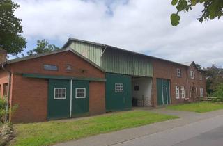 Immobilie kaufen in 25729 Windbergen, Wohnhaus mit Stallungen und historischer Schmiede