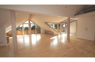 Wohnung mieten in 94327 Bogen, Großzügig geschnittene 3 Zimmer-Wohnung mit Dachterrasse