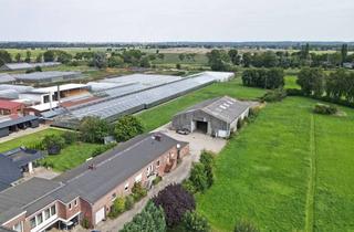 Gewerbeimmobilie kaufen in 21037 Hamburg, Gebäude-Ensemble mit Wohn- & Gewerbenutzung, großer Lagerhalle und Elbzugang