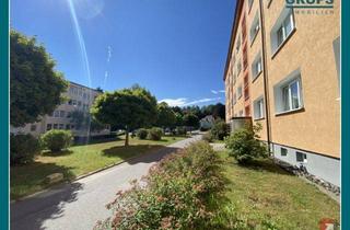 Wohnung kaufen in Bruno-Dietze-Ring 50, 01844 Neustadt, Lebensqualität genießen, exklusiv sanierte 3-Raumwohnung zu verkaufen