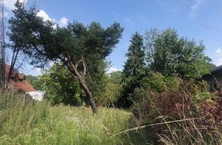 Grundstück zu kaufen in 85276 Tegernbach, Tegernbach Pfaffenhofen an der Ilm - Praktisches Baugrundstück mit Potential in Pfaffenhofen an der Ilm