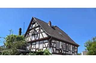 Haus kaufen in 64521 Groß-Gerau, Groß-Gerau - Ein besonderes MFH in der Innenstadt von Groß-Gerau -